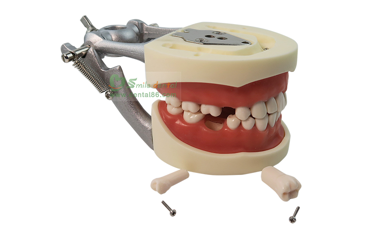 TM-A10 Standard Model1